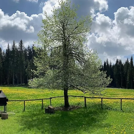 בקתה For Big Groups, Nature Is Calling בוהין