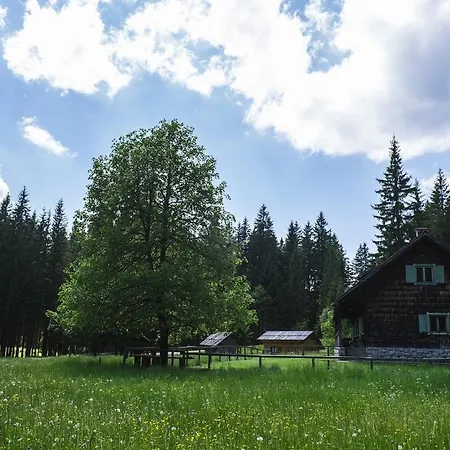 Chalet For Big Groups, Nature Is Calling Bohinj