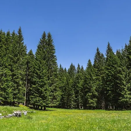 For Big Groups, Nature Is Calling *