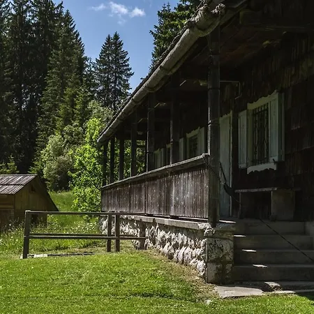 For Big Groups, Nature Is Calling Bohinj