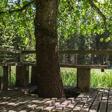 For Big Groups, Nature Is Calling * Bohinj
